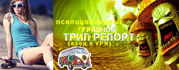 ALPHA-PVP Новодвинск
