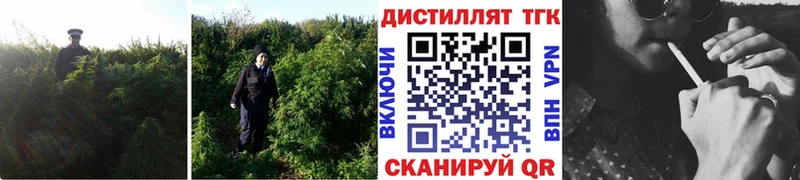 Купить где  Мезень  Дистиллят ТГК вейп с тгк 